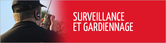 surveillance-gardiennage-alsace-securite